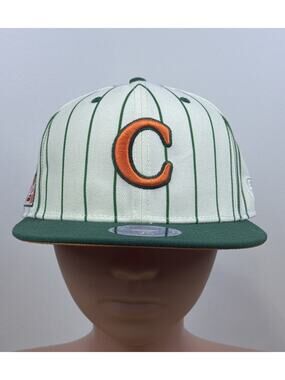 NEW 7 3/8 Arlington Heights Carrots Anwar x Ebbets Field Flannels Fitted Cap Hat